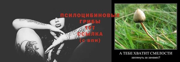 ALPHA-PVP Аркадак